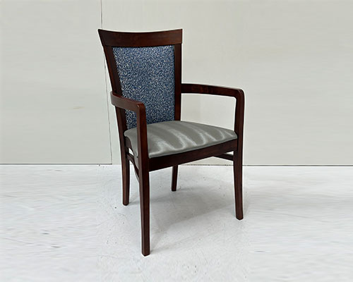 Dining - desk chairs